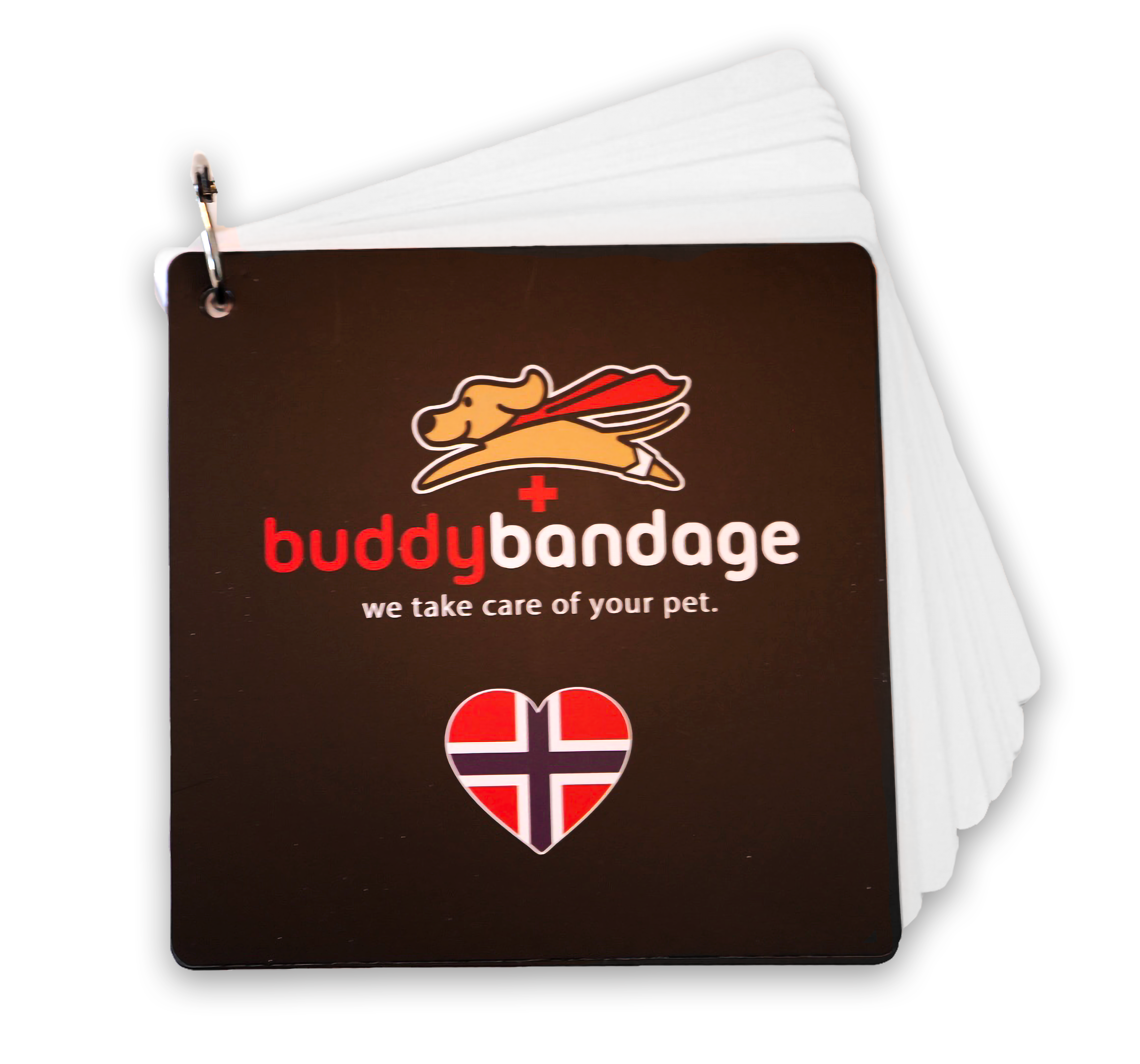 Buddy Bandage Førstehjelpsbag for hund