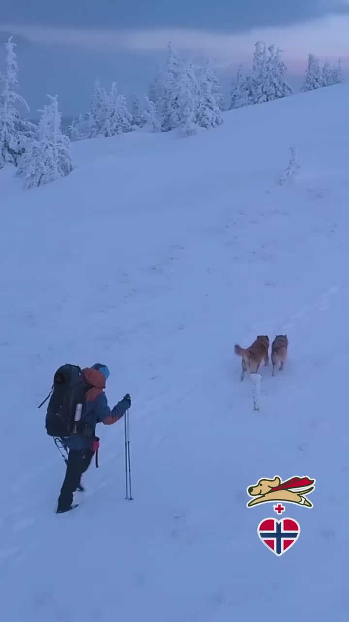 Buddy Bandage Førstehjelpsbag for Hund