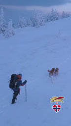 Buddy Bandage Førstehjelpsbag for Hund
